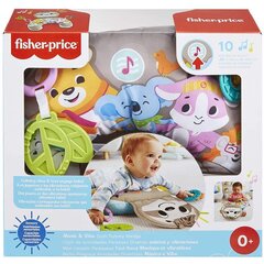 Подушка Ленивец Fisher Price, GRR01 цена и информация | Игрушки для малышей | pigu.lt