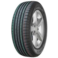 Goodyear Efficientgrip Performance 225/55WR17 kaina ir informacija | Vasarinės padangos | pigu.lt