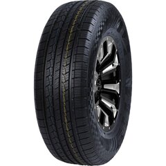 Double Star DS01 255/55 R20 110V XL цена и информация | Летняя резина | pigu.lt