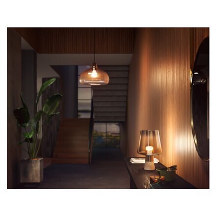 Išmaniosios LED lemputės Philips Hue E27 9W 800lm, 4 vnt. kaina ir informacija | Elektros lemputės | pigu.lt