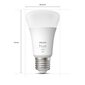 Išmaniosios LED lemputės Philips Hue E27 9W 800lm, 4 vnt. kaina ir informacija | Elektros lemputės | pigu.lt