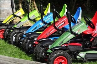 Mašinėlė Berg Go-kart Deutz Fahr BFR-3 kaina ir informacija | Žaislai berniukams | pigu.lt