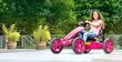 Mašinėlė Berg Go-kart Rally Pearl kaina ir informacija | Žaislai berniukams | pigu.lt