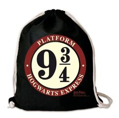 Harry Potter Platform 9 3/4 kaina ir informacija | Žaidėjų atributika | pigu.lt