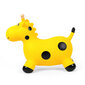 Šokliukas Žirafa bo. kaina ir informacija | Žaislai kūdikiams | pigu.lt