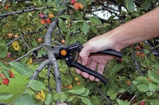 Садовый секатор Fiskars PRO цена и информация | Fiskars Бытовая химия и инвентарь для уборки | pigu.lt