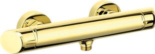 Deante dušo maišytuvas Arnika BQA_Z40M, Gold kaina ir informacija | Vandens maišytuvai | pigu.lt