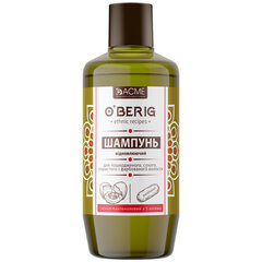 Plaukų šampūnas, 500 ml kaina ir informacija | Šampūnai | pigu.lt