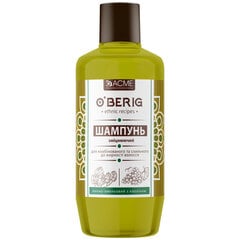 Plaukų šampūnas, 500 ml kaina ir informacija | Šampūnai | pigu.lt