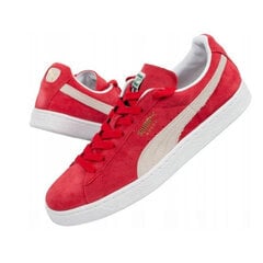 Мужские спортивные кроссовки Puma Enzo 2 Refresh Красный цена и информация | Кроссовки для мужчин | pigu.lt