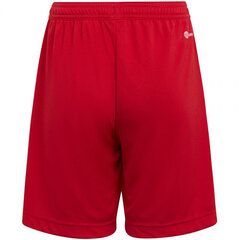 Шорты Adidas Ent22 Short Y Red H57501 цена и информация | Шорты для мальчиков | pigu.lt