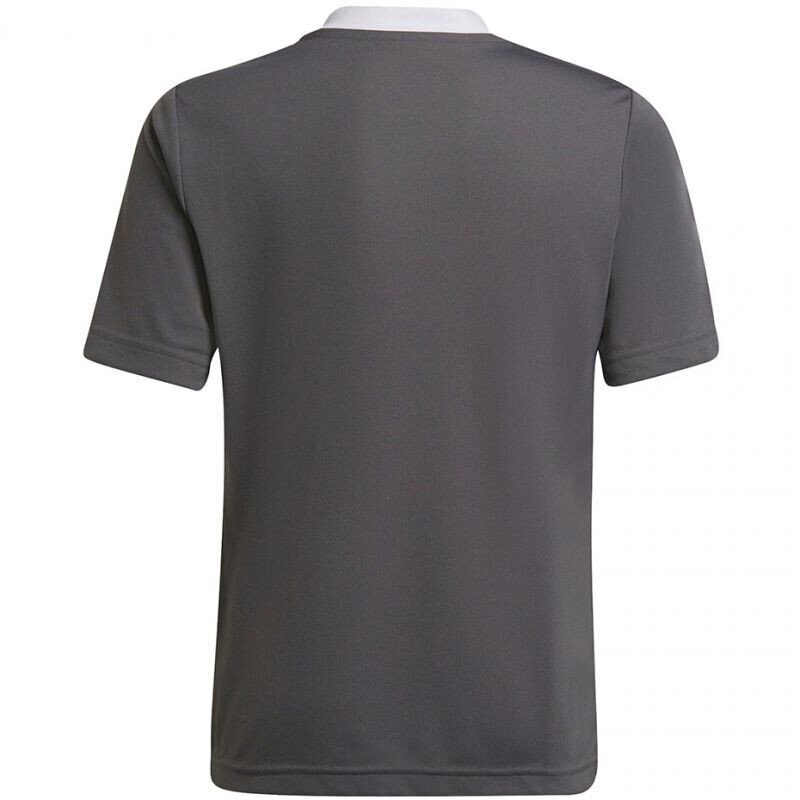 Vaikiški marškinėliai Adidas Entrada 22 Jsy H57499, pilka kaina ir informacija | Futbolo apranga ir kitos prekės | pigu.lt