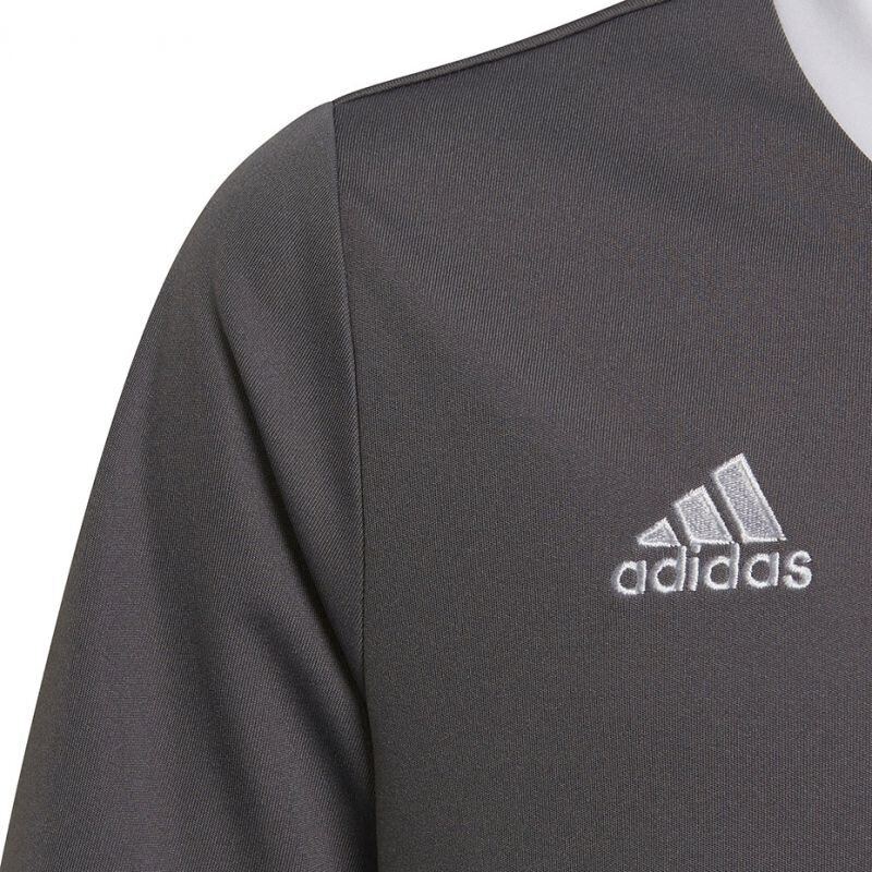 Vaikiški marškinėliai Adidas Entrada 22 Jsy H57499, pilka kaina ir informacija | Futbolo apranga ir kitos prekės | pigu.lt
