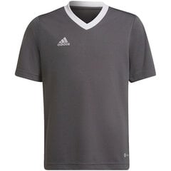 Vaikiški marškinėliai Adidas Entrada 22 Jsy H57499, pilka kaina ir informacija | Adidas teamwear Spоrto prekės | pigu.lt