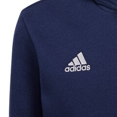 Megztinis vaikams Adidas, mėlynas kaina ir informacija | Megztiniai, bluzonai, švarkai mergaitėms | pigu.lt