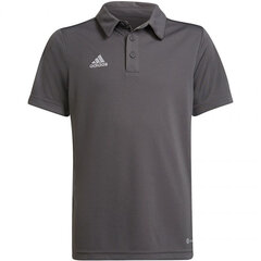 Vaikiški Polo marškinėliai Adidas Entrada 22 H57485, pilki kaina ir informacija | Adidas teamwear Sportas, laisvalaikis, turizmas | pigu.lt