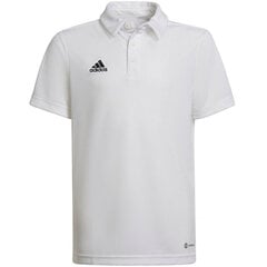 Vaikiški Polo marškinėliai Adidas Entrada 22 HC5059, balti kaina ir informacija | Futbolo apranga ir kitos prekės | pigu.lt