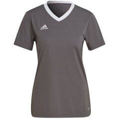Sportiniai marškinėliai moterims Adidas Entrada 22 Jsy, pilki kaina ir informacija | Sportinė apranga moterims | pigu.lt