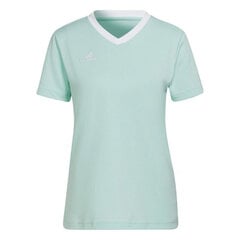 Sportiniai marškinėliai moterims Adidas Entrada 22 Jsy, mėlyni kaina ir informacija | Sportinė apranga moterims | pigu.lt