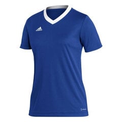 Женская спортивная футболка Adidas Entrada 22 Jsy, синяя цена и информация | Спортивная одежда для женщин | pigu.lt