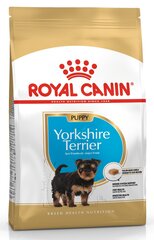 Сухой корм Koeratoit Royal Canin Yorkshire Terrier 29 Junior для собак, 7,5 кг цена и информация | Сухой корм для собак | pigu.lt