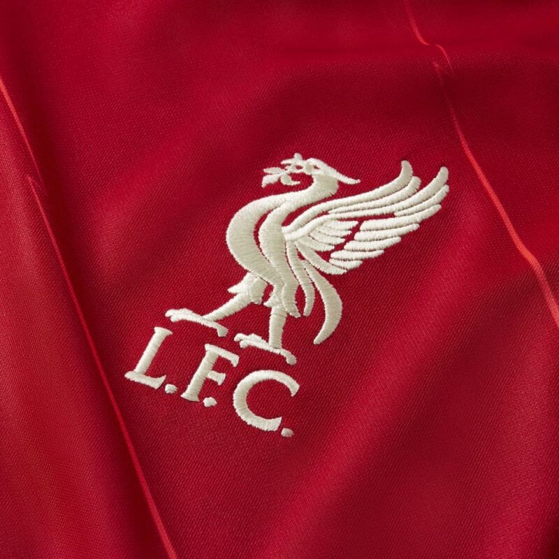 Sportiniai marškinėliai vyrams Nike Liverpool FC Stadium Home, raudoni kaina ir informacija | Sportinė apranga vyrams | pigu.lt