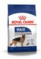 Royal Canin Maxi Adult 15 kg kaina ir informacija | Sausas maistas šunims | pigu.lt