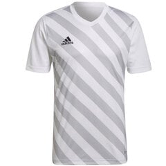 Sportiniai marškinėliai vyrams Adidas Entrada 22 Graphic Jersey, balti kaina ir informacija | Sportinė apranga vyrams | pigu.lt