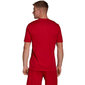 Sportiniai marškinėliai vyrams Adidas Entrada 22 Graphic Jersey, raudoni kaina ir informacija | Sportinė apranga vyrams | pigu.lt