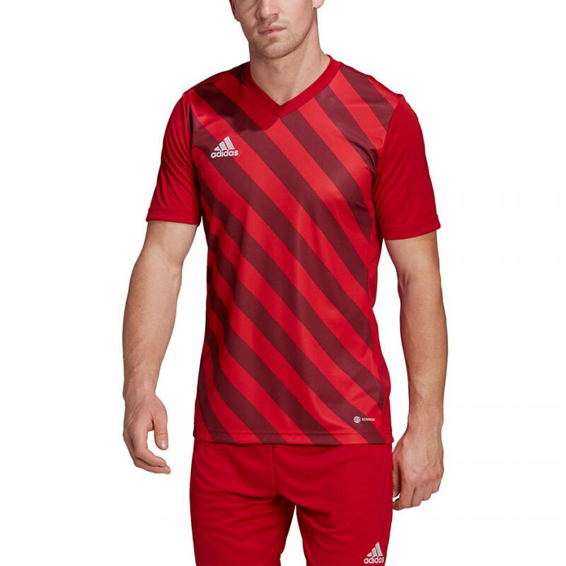 Sportiniai marškinėliai vyrams Adidas Entrada 22 Graphic Jersey, raudoni kaina ir informacija | Sportinė apranga vyrams | pigu.lt