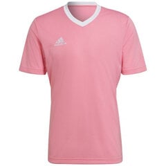 Мужская спортивная футболка Adidas Entrada 22 Jersey, розовая цена и информация | Мужские термобрюки, темно-синие, SMA61007 | pigu.lt