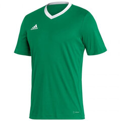 Мужская спортивная футболка Adidas Entrada 22 Jersey, зеленая цена и информация | Мужские термобрюки, темно-синие, SMA61007 | pigu.lt