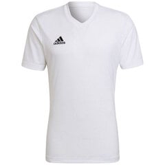 Мужская футболка Adidas Entrada 22 Jersey, белая цена и информация | Мужская спортивная одежда | pigu.lt