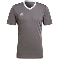 Sportiniai marškinėliai vyrams Adidas Entrada 22 Jersey, pilki kaina ir informacija | Sportinė apranga vyrams | pigu.lt