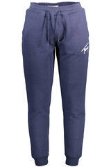 Sportinės kelnės vyrams Tommy Hilfiger DM0DM12439, mėlynos цена и информация | Мужская спортивная одежда | pigu.lt