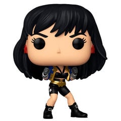 Funko POP! Heroes - Wonder Woman kaina ir informacija | Žaidėjų atributika | pigu.lt