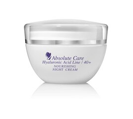 Naktinis veido kremas Absolute Care Hyaluronic Acid, 50 ml kaina ir informacija | Veido kremai | pigu.lt