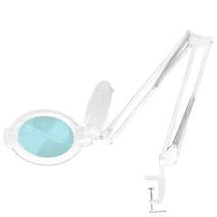 Kosmetologinė LED lempa su lupa 5D 8W (baltos spalvos, tvirtinama prie stalo) kaina ir informacija | Staliniai šviestuvai | pigu.lt