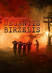 Degantis birželis kaina ir informacija | Romanai | pigu.lt