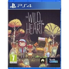 PS4 Wild at Heart kaina ir informacija | Kompiuteriniai žaidimai | pigu.lt