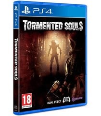 PS4 Tormented Souls kaina ir informacija | Kompiuteriniai žaidimai | pigu.lt