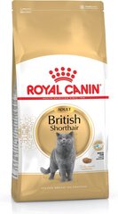 Сухой корм Royal Canin для британских короткошерстных кошек, 4 кг цена и информация | Сухой корм для кошек | pigu.lt