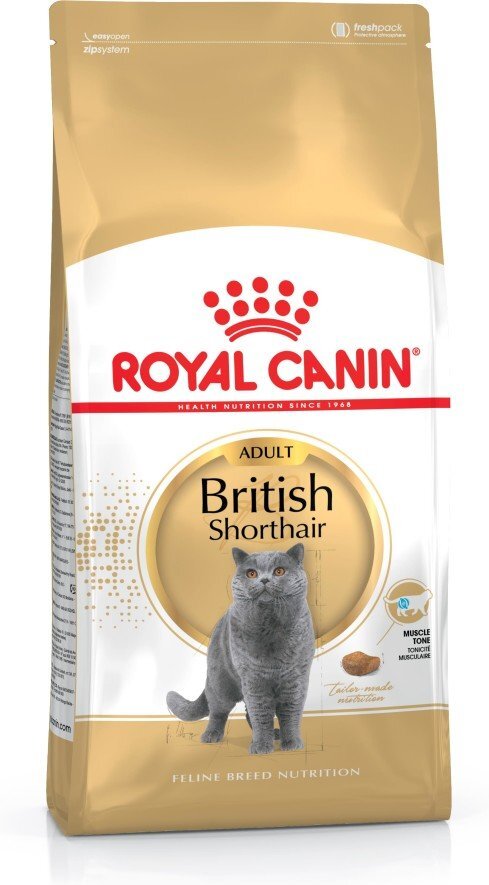 Royal Canin britų trumpaplaukėms katėms, 4 kg kaina ir informacija | Sausas maistas katėms | pigu.lt