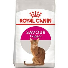 Royal Canin Exigent 35/30 Savour Sensation 10 kg kaina ir informacija | Sausas maistas katėms | pigu.lt