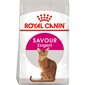 Royal Canin Exigent 35/30 Savour Sensation 10 kg kaina ir informacija | Sausas maistas katėms | pigu.lt