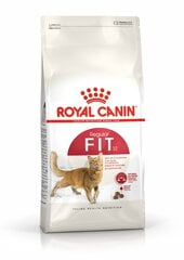  Сухой корм Royal Canin Cat Fit для активных кошек, 15 кг цена и информация | Сухой корм для кошек | pigu.lt