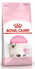 Royal Canin Kitten, 10 кг цена и информация | Сухой корм для кошек | pigu.lt