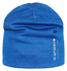 Kepurė vaikams Icepeak Haan 58835-9*360, mėlyna kaina ir informacija | Kepurės, pirštinės, šalikai berniukams | pigu.lt