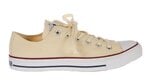 Converse C. Taylor All Star OX Natural White W M9165, geltona (56304)
