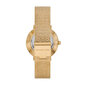 Moteriškas laikrodis Michael Kors MK4619 kaina ir informacija | Moteriški laikrodžiai | pigu.lt